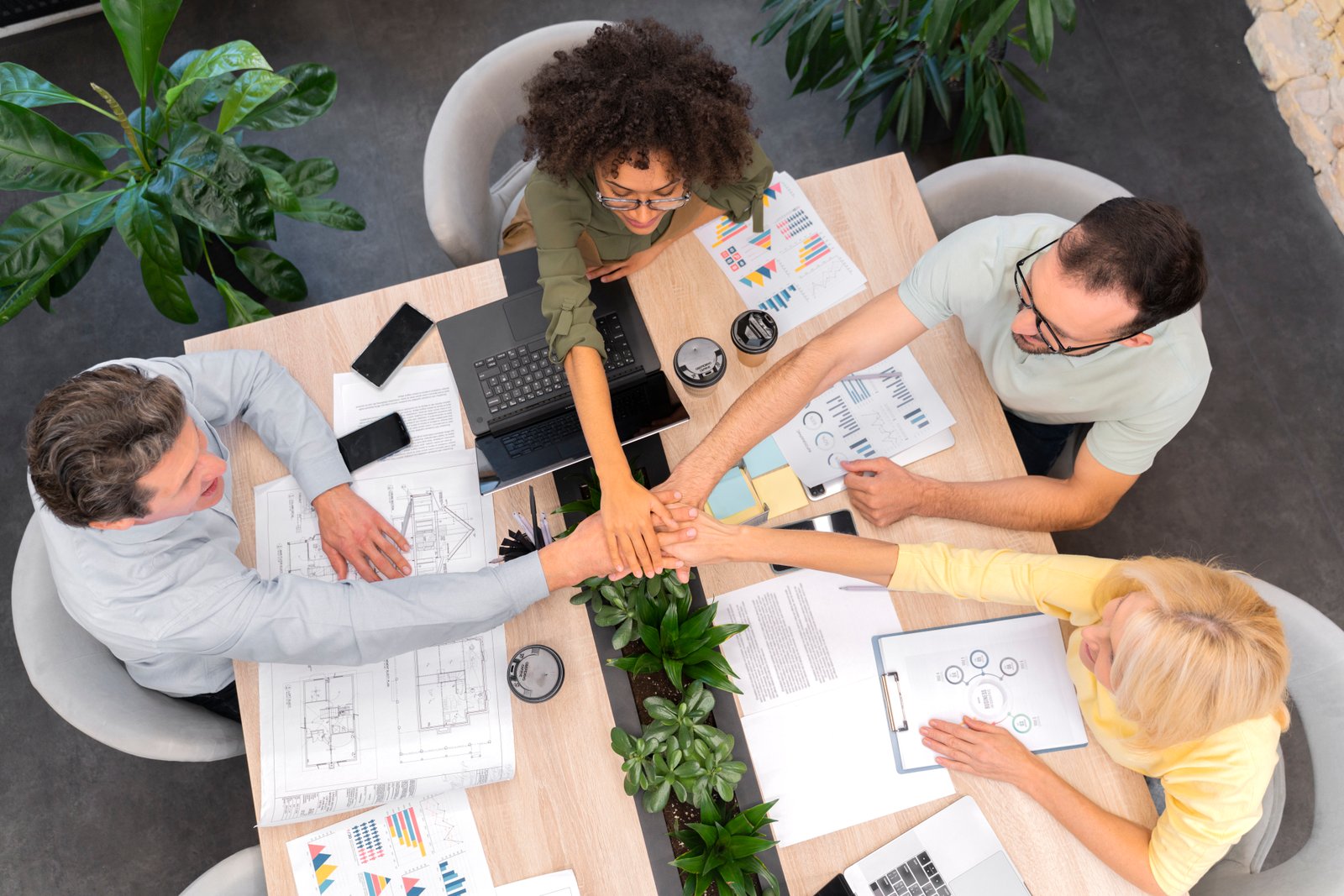 Business support and collaboration